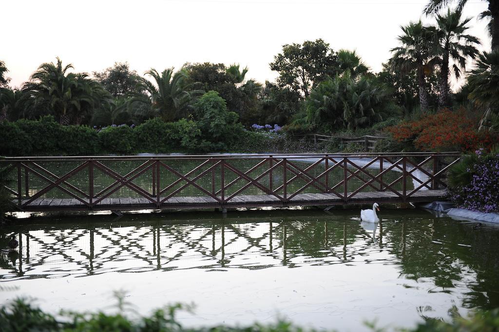 Seven Maze Charming House Bed & Breakfast Bari Ngoại thất bức ảnh